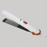 Hair Crimper / Straightener